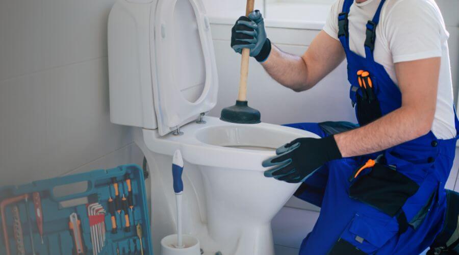 Local annual plumbing maintenance in Earp, CA